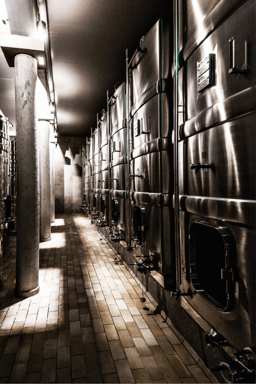 Bouteilles de Pouilly-Fumé Bouchié-Chatellier en cave