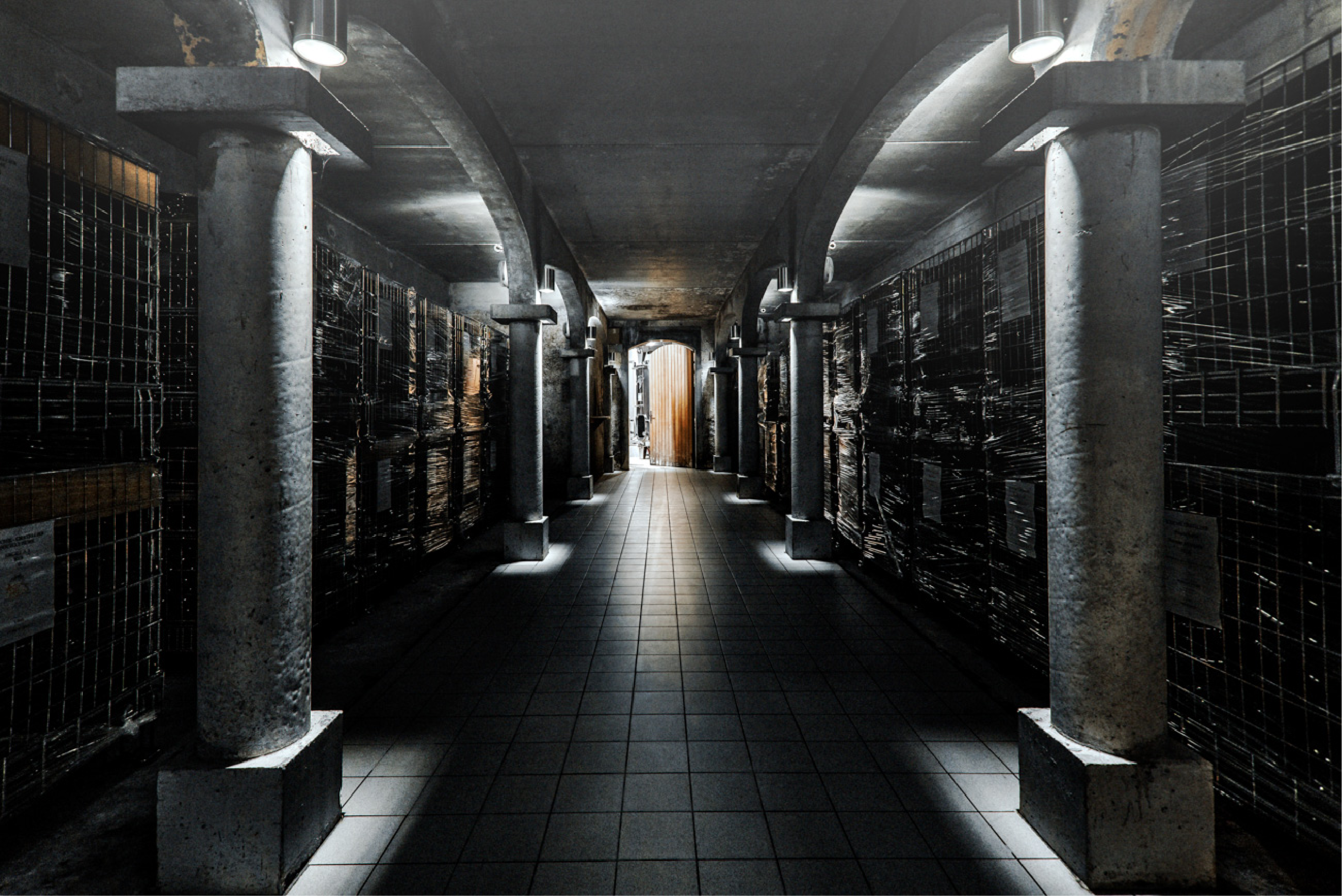 Cave du Domaine Bouchié-Chatellier, élevage des Pouilly-Fumé